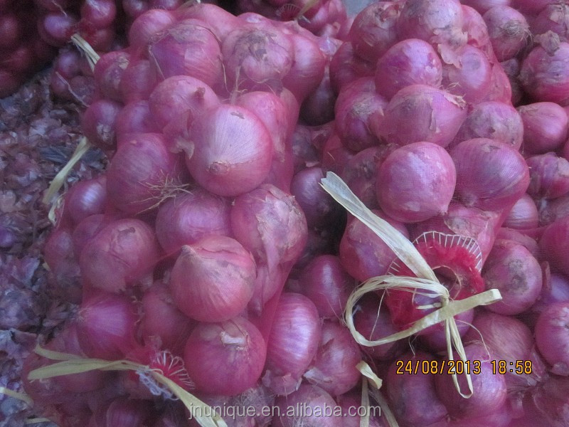 Fresh onion exporters with best competitive price