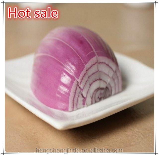wholesale fresh onion in bulk