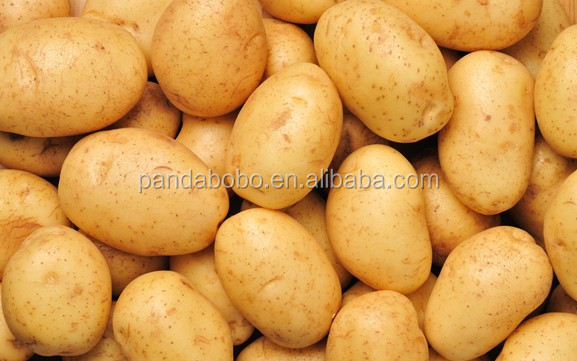 fresh potato import and export