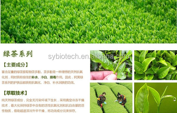 Instant green tea extract powder , Pure natural Green Tea Extract 10%-95% polyphenol powder