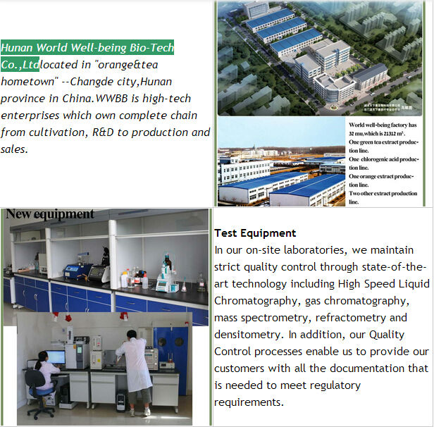 100% Natural High Quality Cocoa Extract Powder 10% 20% theobromine/Cocoa Extract Powder theobromine