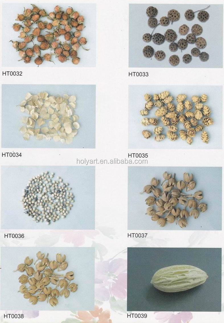 catalogue (2).jpg