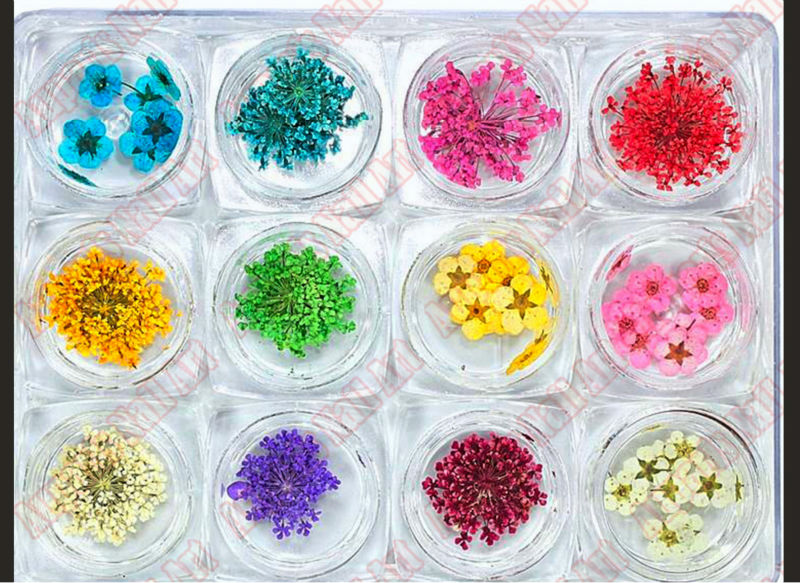 ドライフラワーネイル天然植物小さな飾る記事12少しカラーボックス、 乾燥された花の梅の花の卸売爪の装飾 問屋・仕入れ・卸・卸売り