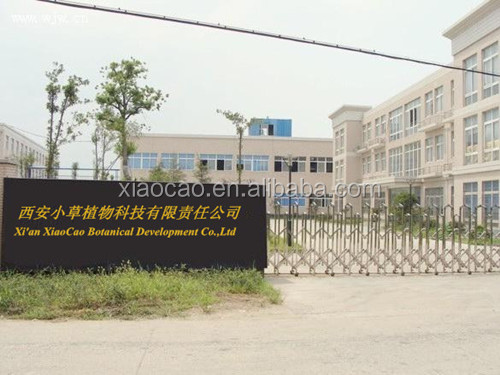 High Quality Cinnamon Bark Extract,Cinnamon Bark Powder Extract Polyphenol