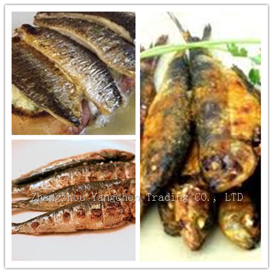 Chinese canned sardines in tomato sauce with all kinds of tank type