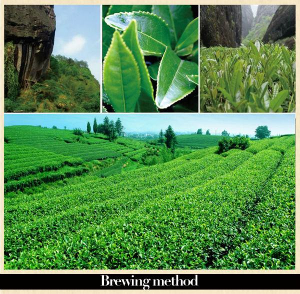 2014 newest longjing green tea