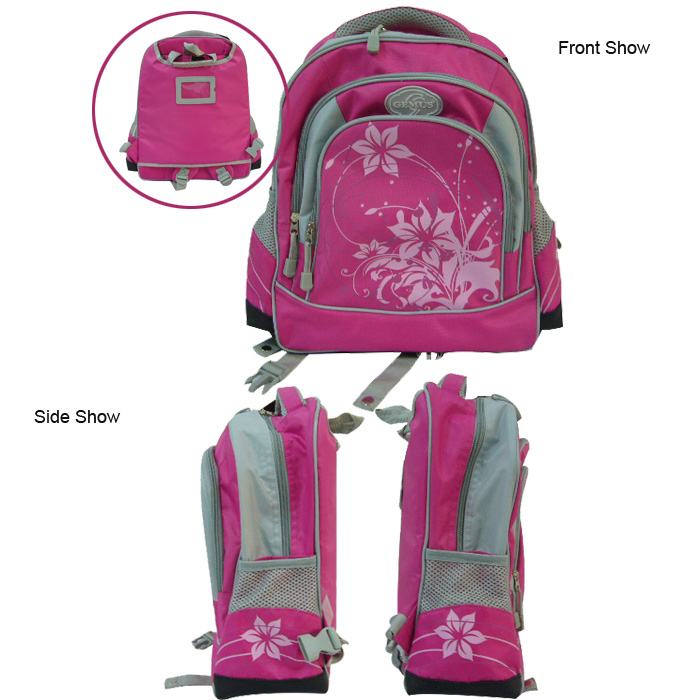 school trolley bag .jpg
