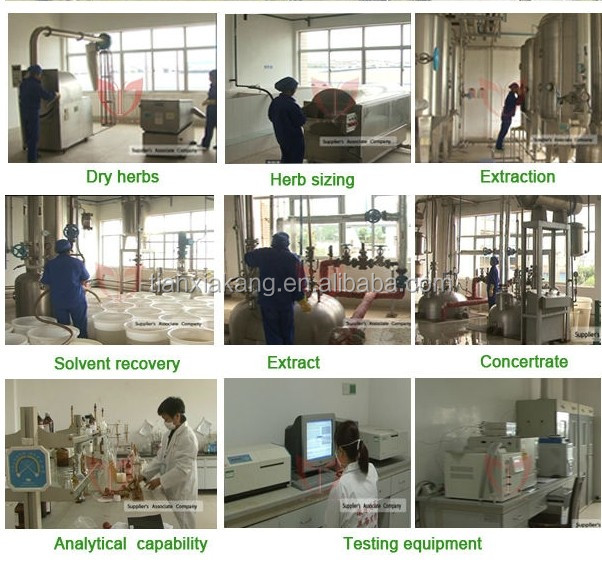 Theobromine10-20% Cocoa Bean Extract Powder/Cocoa Bean Extract/Cocoa Bean Powder