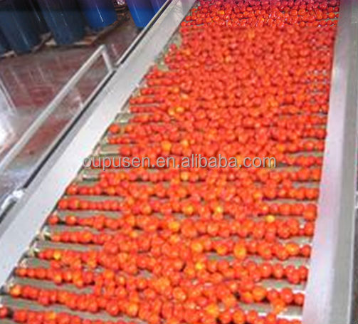 Canned Tomato Sauce in Tin
