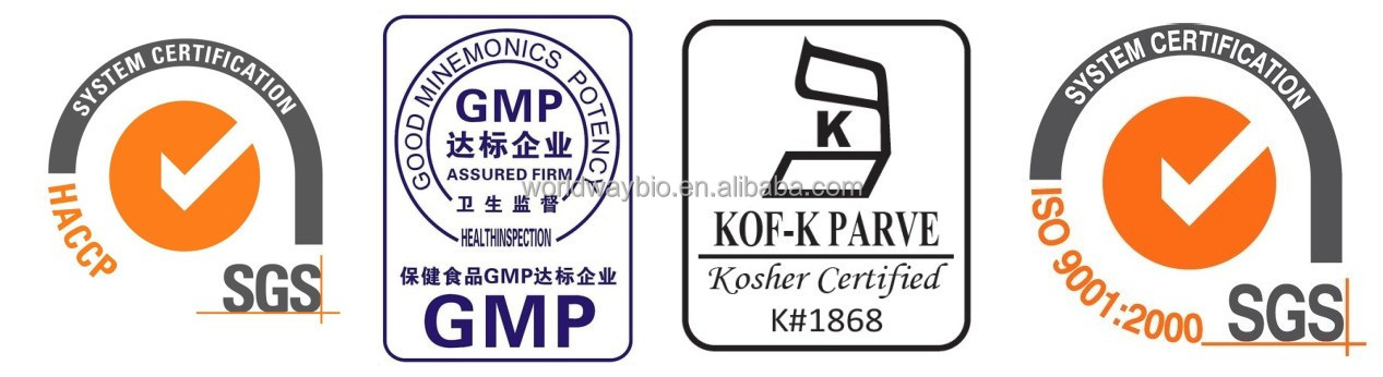 piperine free sample HACCP KOSHER GMP certified China factory food grade black pepper powder bulk piperine extract 10%