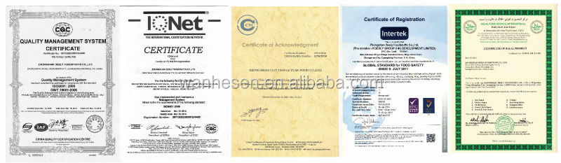Xinjiang Origin tomato paste plant tomato paste