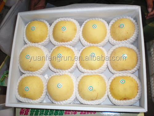 2014 new golde fresh pear