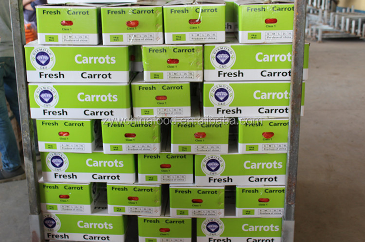 2014 New Corp Fresh Bulk Carrot