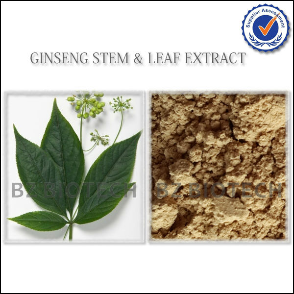 SIBERIAN GINSENG POWDER FOR TEA,WATER SOLUBLE GINSENG POWDER