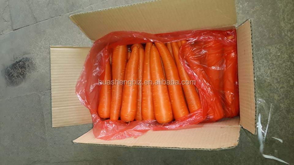 specifications of fresh carrots