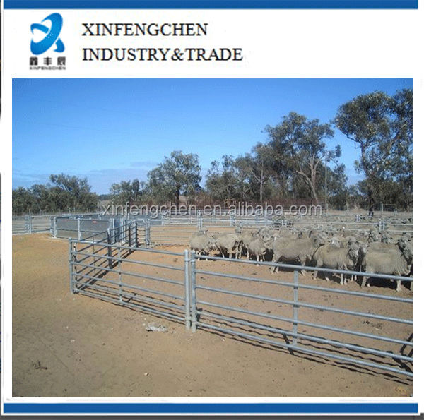 Permanent-Sheep-Yard-1.jpg