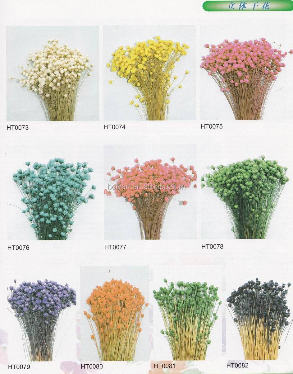 catalogue (10).jpg