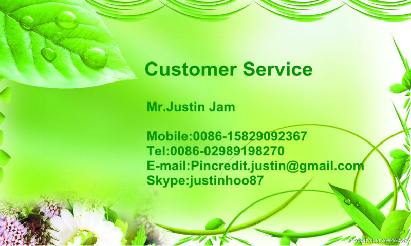High quality cinnamon polyphenols cinnamon extract
