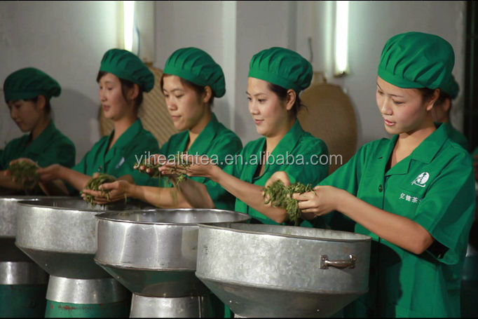Best quality E.U, USDA,JAS certificated organic green tea