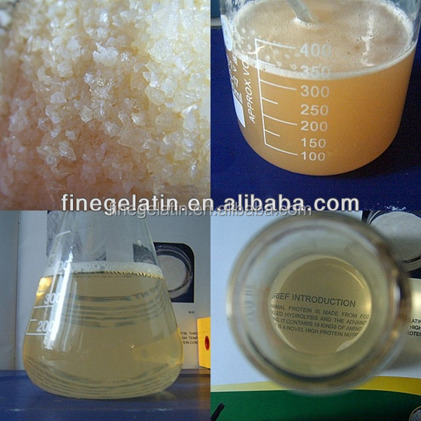 hydrolysed gelatin/protein hydrolysate/halal gelatin hydrolysate,China