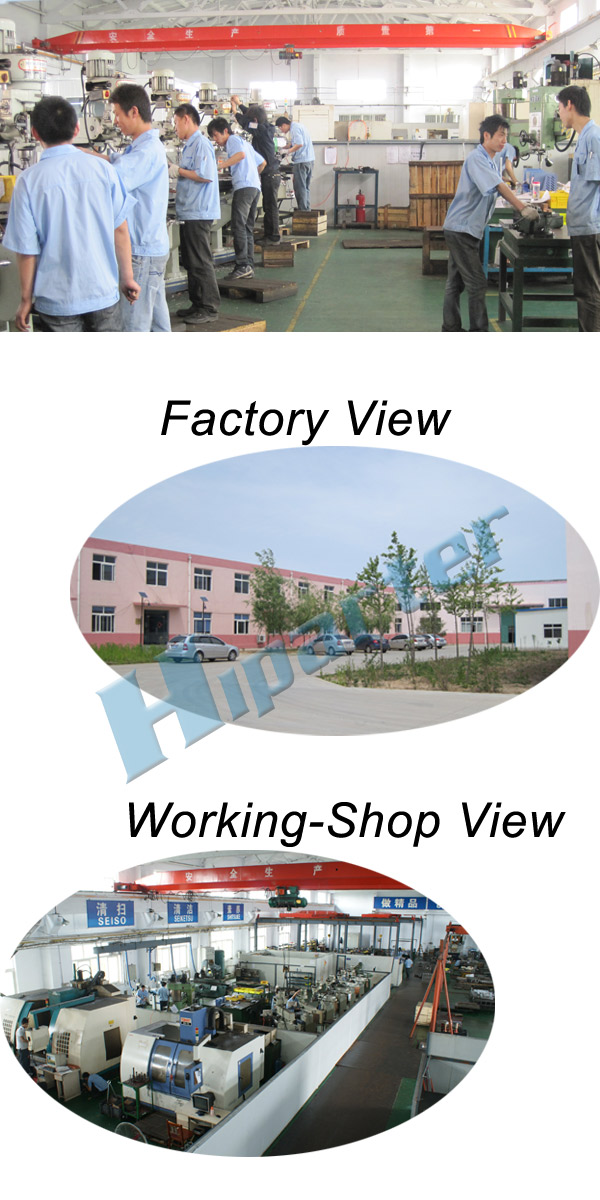 Hiparter.co.view