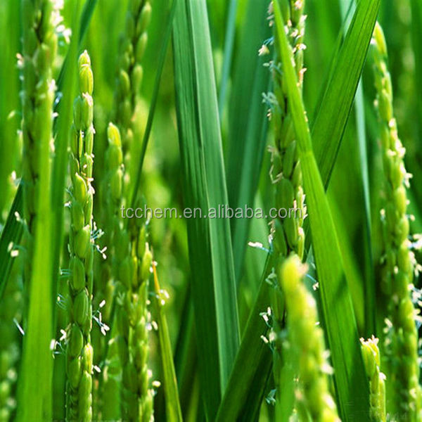 High Quality tapioca maltodextrin price