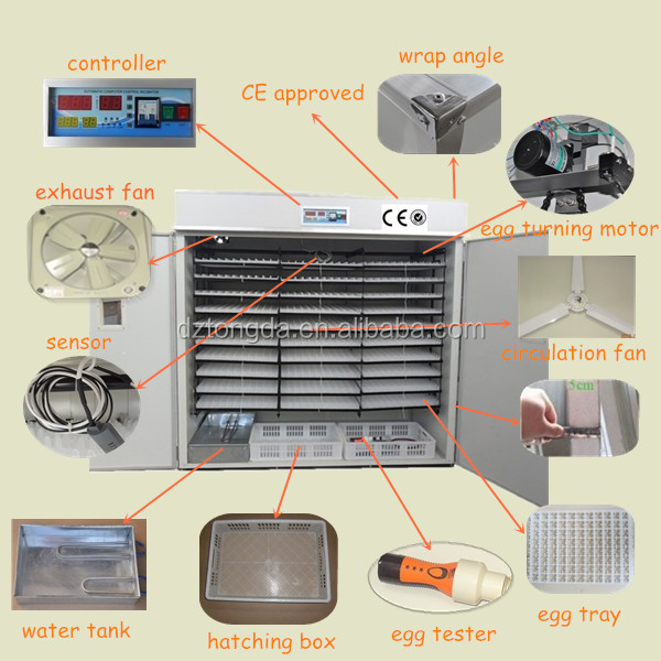 Full automatic quail egg incubator uae poultry farming feeding 