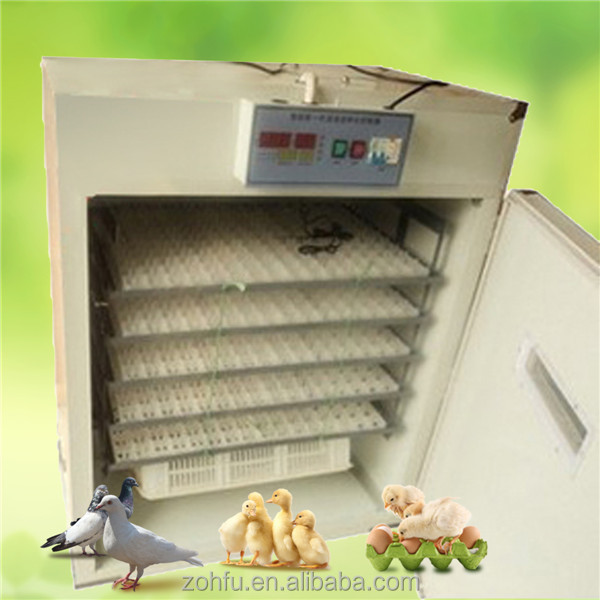 snake egg incubator kit