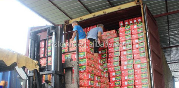 Tomato Paste & ketchup & tomato sauce&Bulk&Bag&Tin