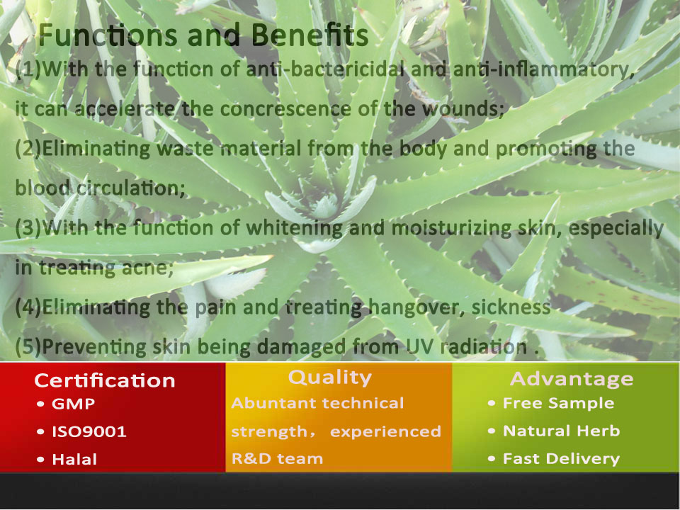High Quality Aloe Vera Extract/Aloe Vera Extract Powder/Nature Aloe Extract