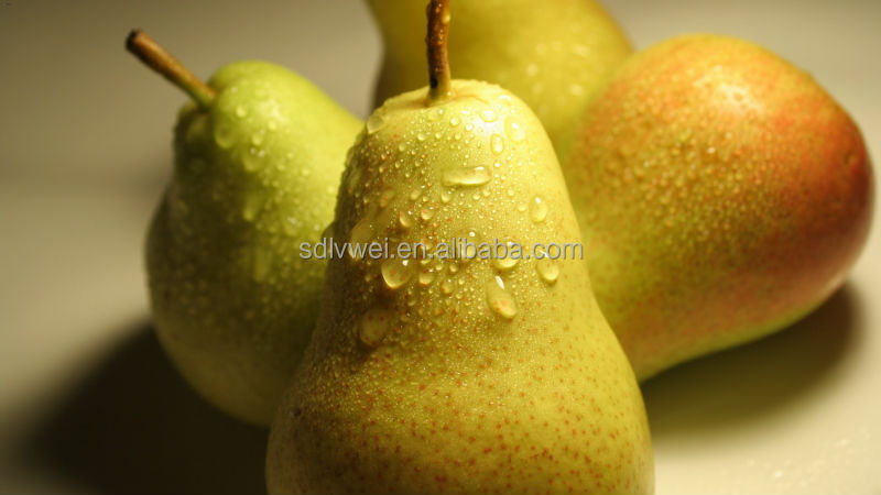 pear juice concentrate 70 brix