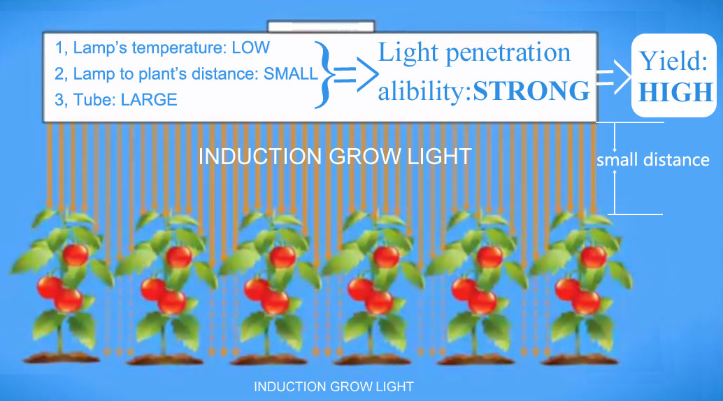 ledの成長ライトを交換する1000w2x400wによって誘導は光成長問屋・仕入れ・卸・卸売り
