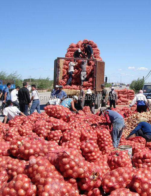 2014 seasonable fresh onion in different pack