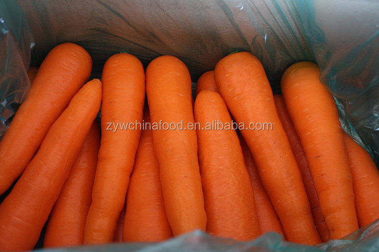 2014 New Crop Red Skin Fresh Carrots Price for Export from China