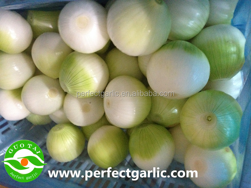 2014 New Crop Fresh Red Onion