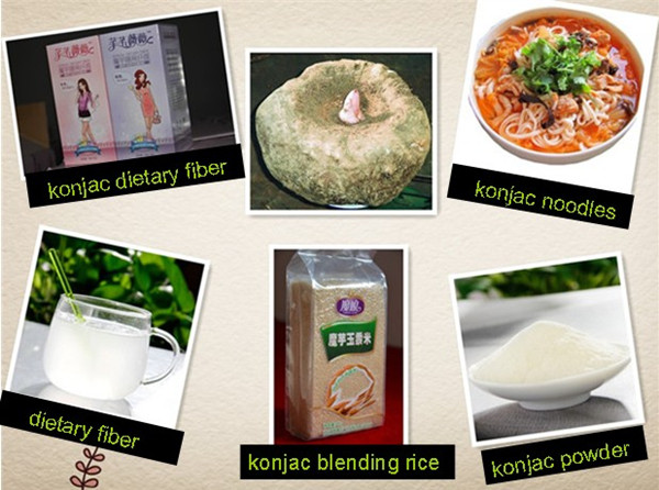 Refined Processing Type and Instant,instant ready noodles knots Style konjac extract root