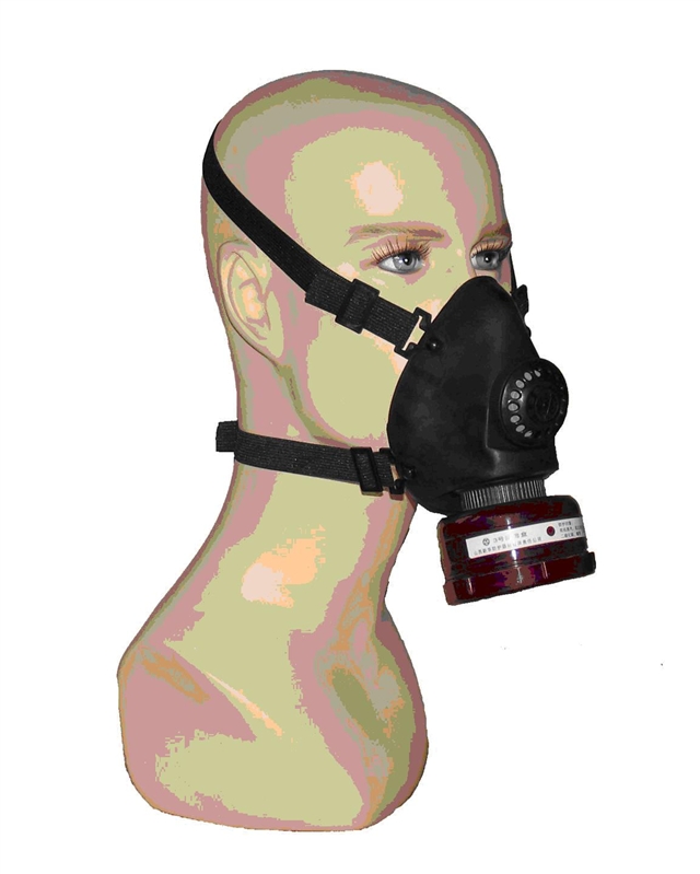 シリコーンフルフェイスガスマスク/化学ガスマスクin2014販売のための問屋・仕入れ・卸・卸売り