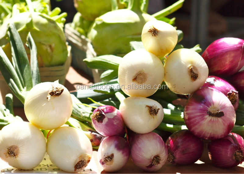 Non-peeled fresh onion exporter from China
