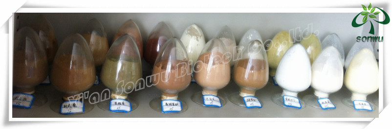 Thaumatin sweetener thaumatin powder