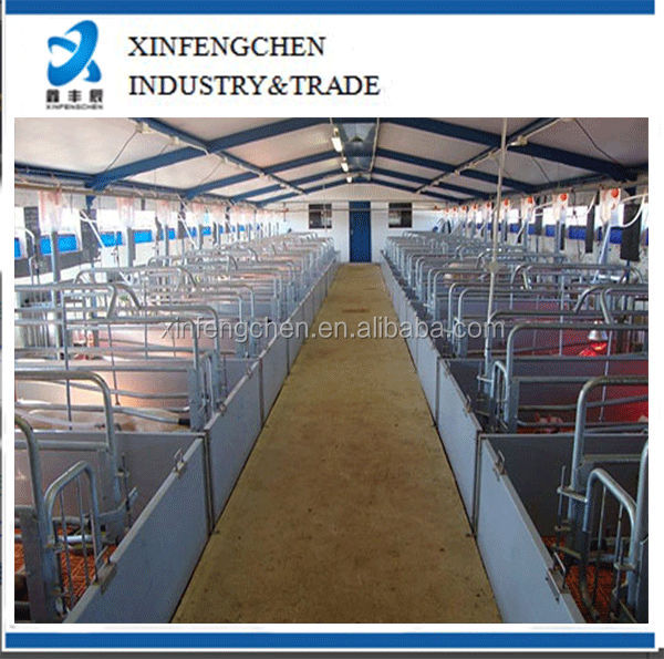 farrowing