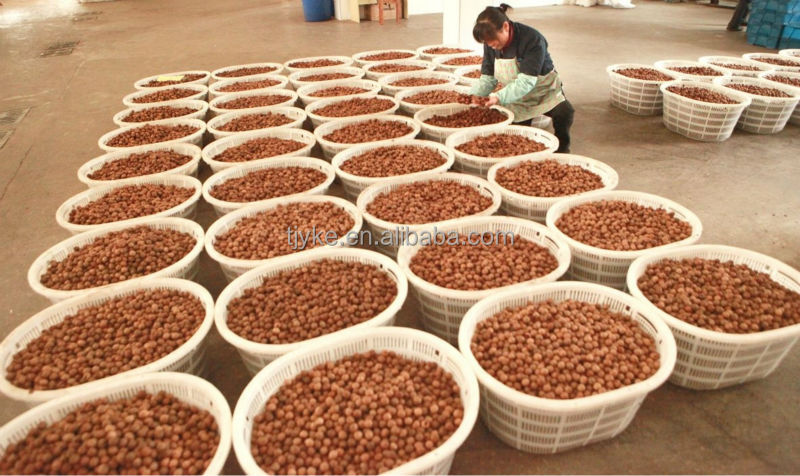 peanut kernels ,factory