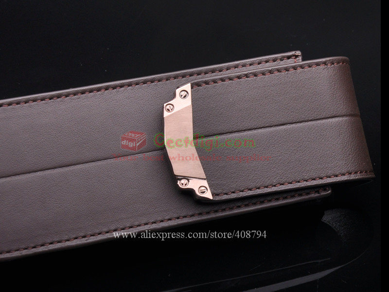 Signature case brown2.jpg