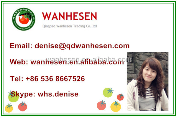 hot sell tomato paste, tomato paste plant