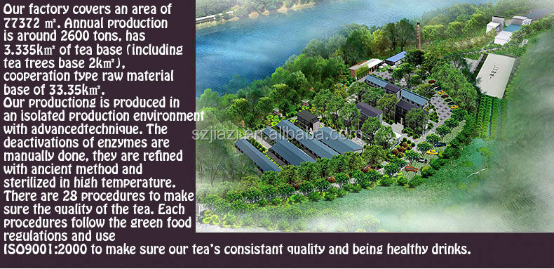 Puer sencha green tea brand names