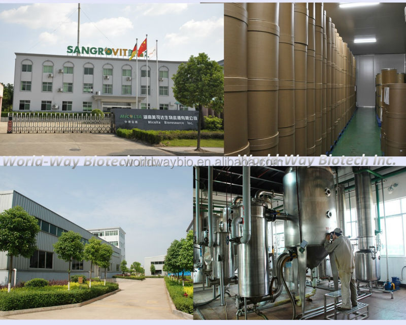 Cocoa Extract, Theobromine10% HPLC, Theobroma cocao