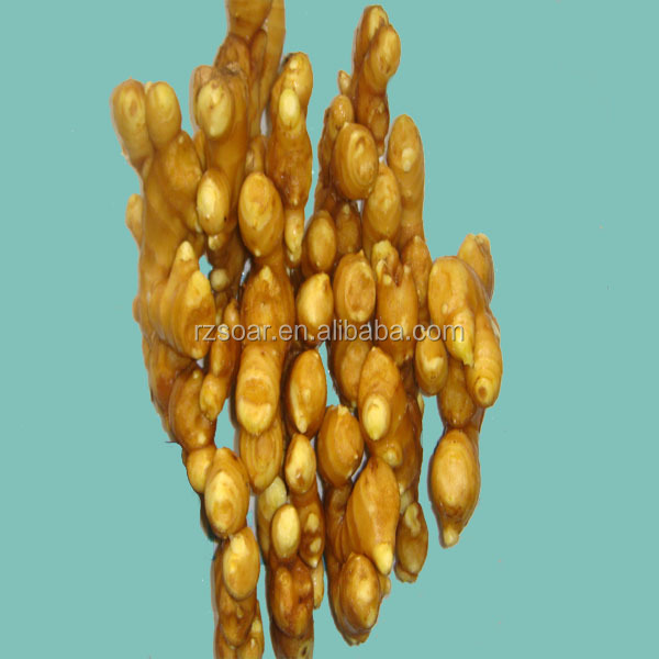 air- drying ginger
