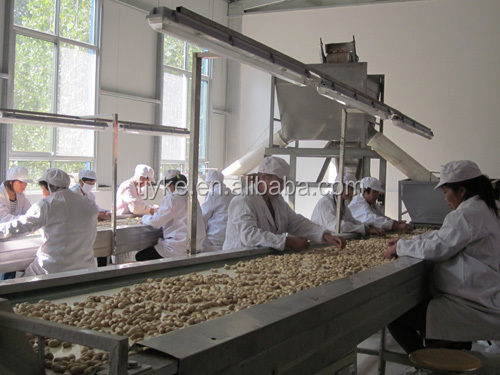 peanut kernels ,BIGGEST PEANUT