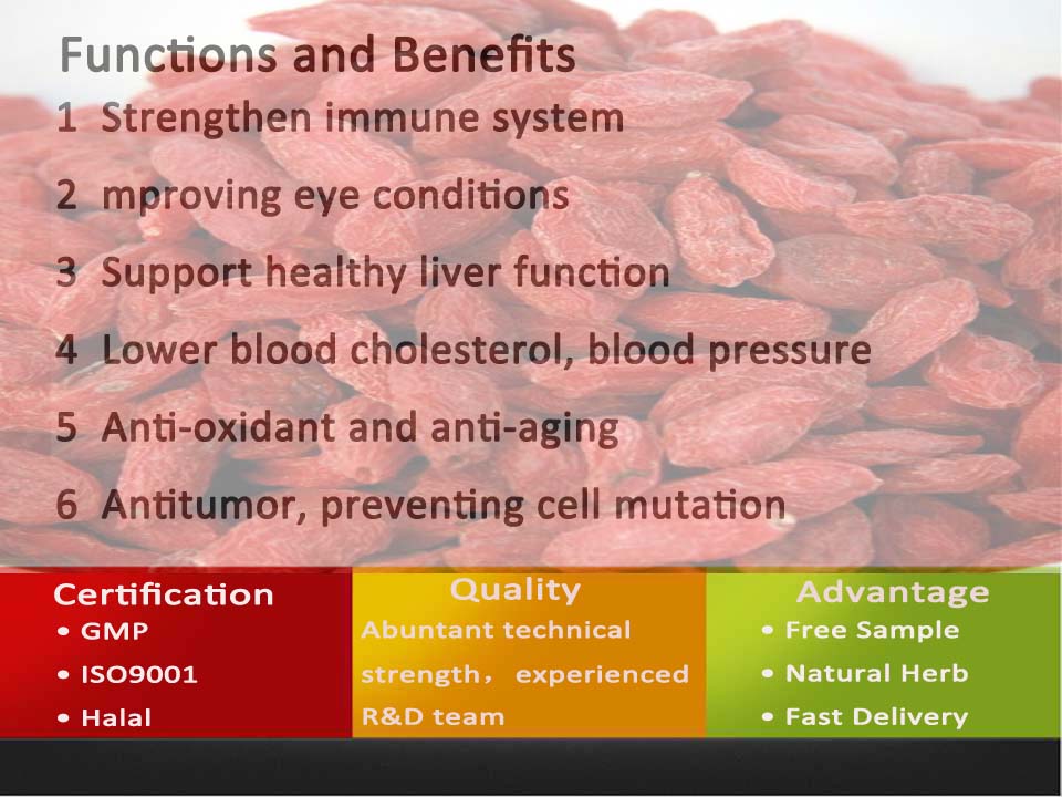 Natural Herb Medicine Goji Berry Extract Powder,China Pincredit price