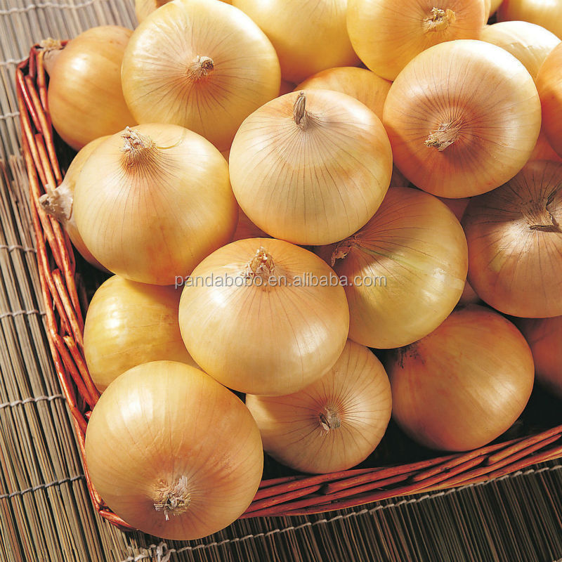 Non-peeled fresh onion exporter from China