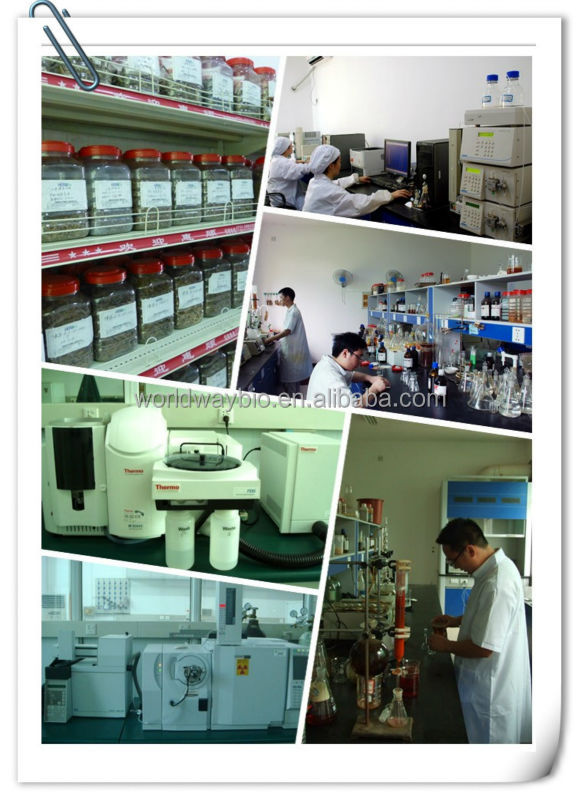 natural made Cocoa Extract enhance flavour for food cocoa seed extract